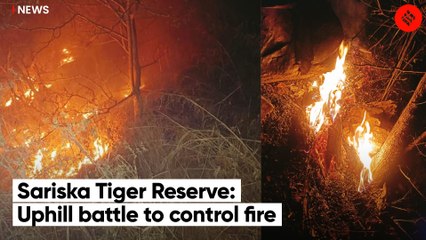 Sariska Tiger Reserve not fire-prone, but burned despite early warnings