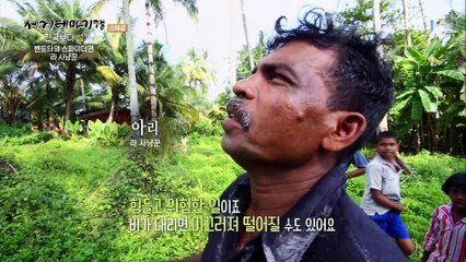 세계테마기행 - 천국보다 섬- 천국의 계단, 스리랑카_#003