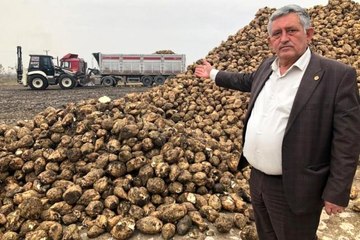 Sadi Aktaş: "Türkiye'ye yetecek ve ihracat yapacak kadar şeker var"