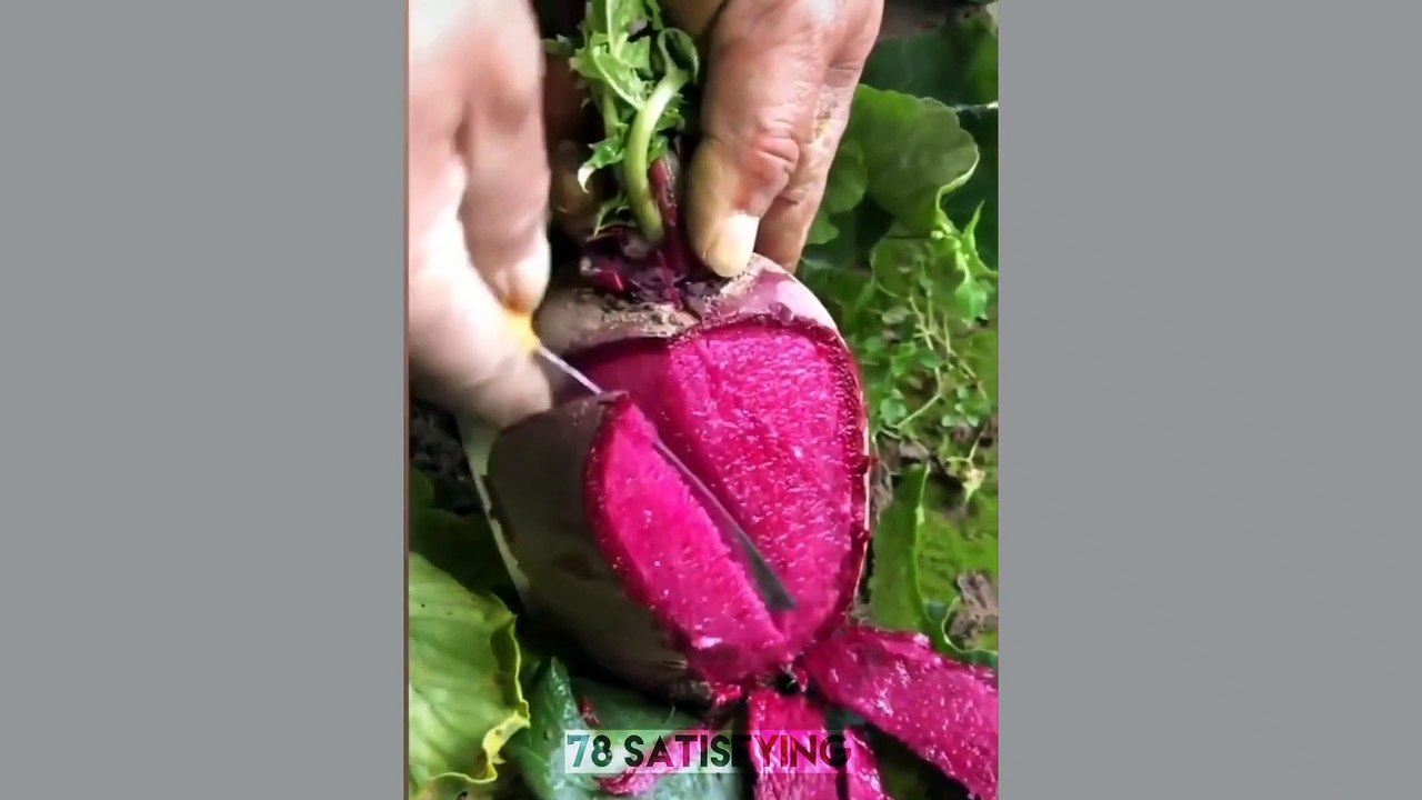 Oddly Satisfying Video That Will Relax You Before Sleep