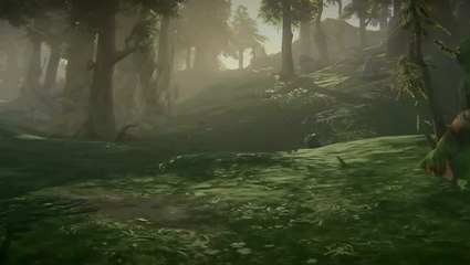 EverQuest Next Landmark : Le travail de la communauté