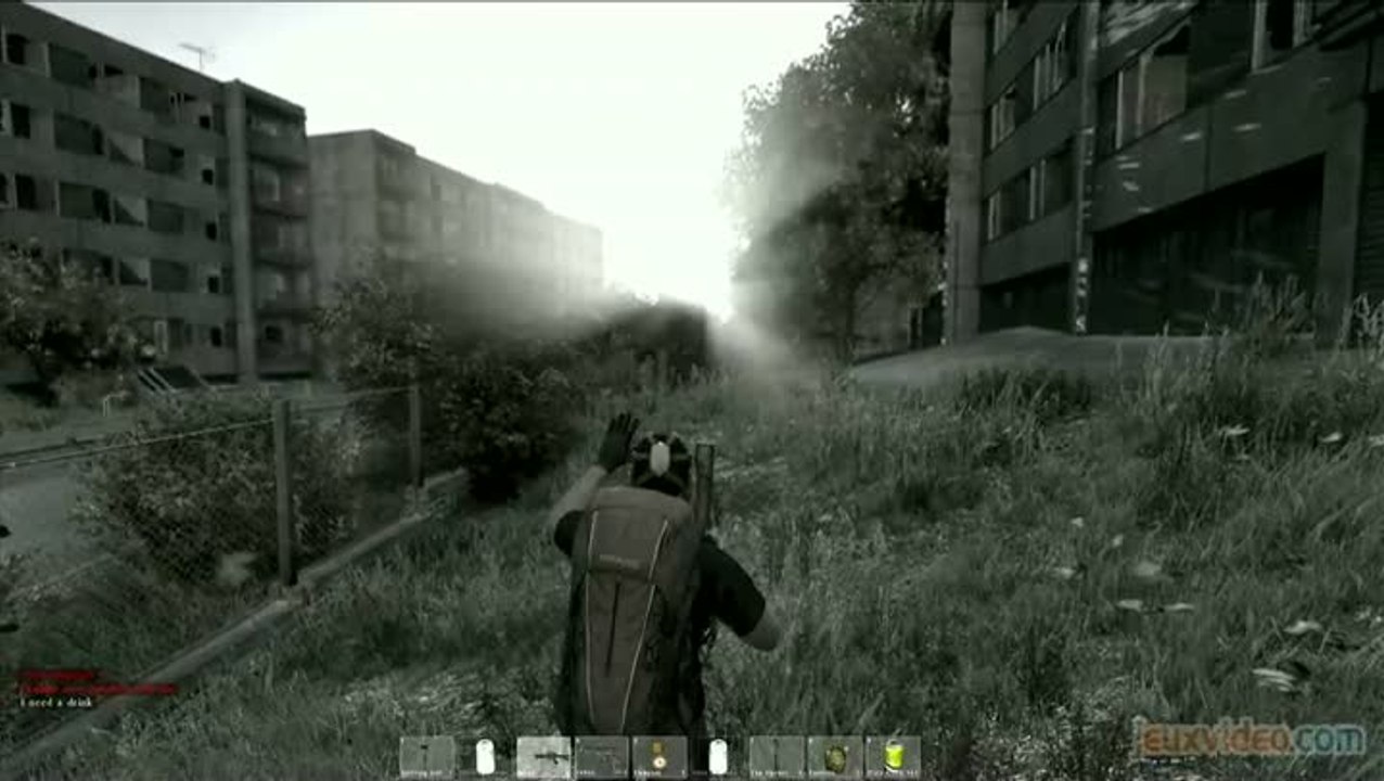 DayZ : A la conquête du stand-alone !