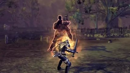 RaiderZ : Créer le héros ultime