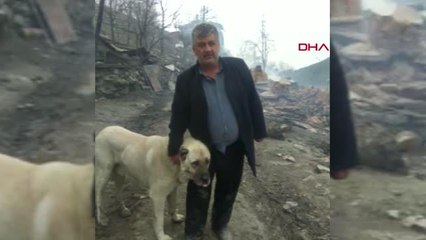 Kastamonu'da 7 ev, 7 ahır yandı