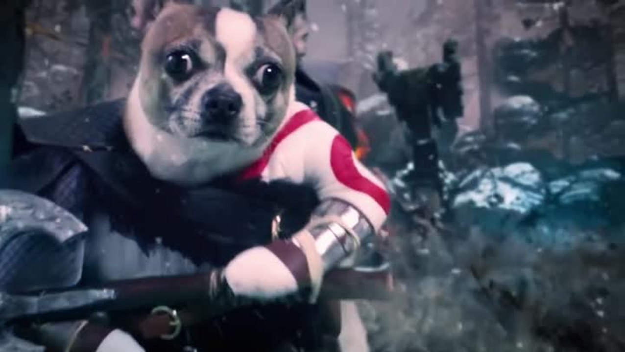 Dog of War