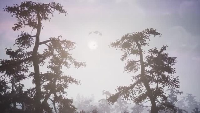 Fear The Wolves : Les restes de Tchernobyl vous attendent