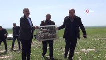 Mardin'de süne ile mücadele için 300 kınalı keklik doğaya salındı