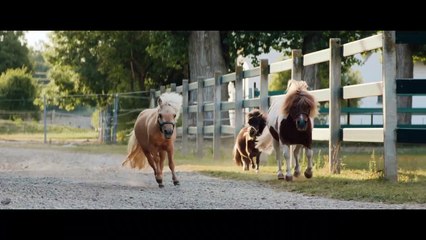 Immenhof Das große Versprechen Film