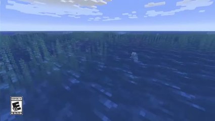 Minecraft : Quand l'océan rencontre le cube