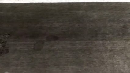 Tour de France   Pro Cycling Manager 2018 - Launch Trailer.mp4