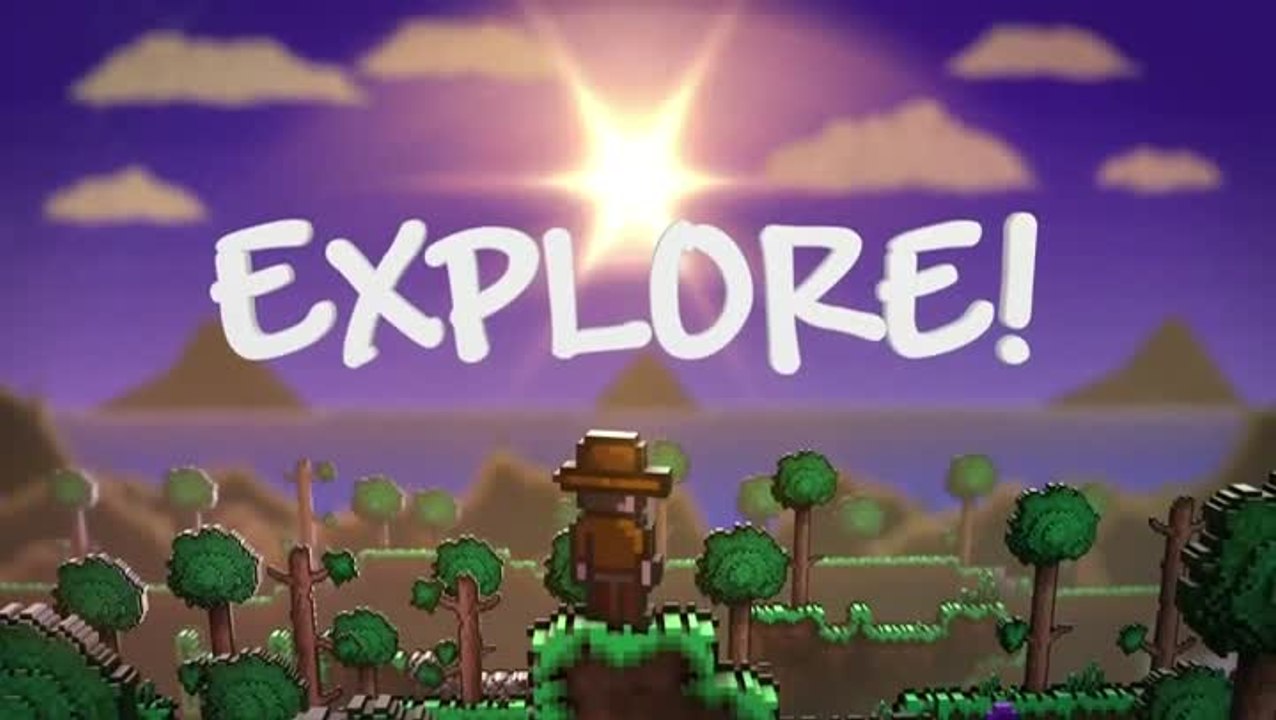 Terraria : La version console