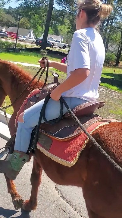 School Pickup on Horseback