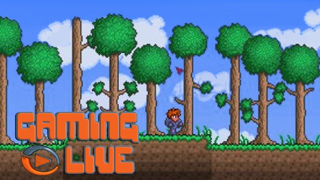 Terraria : Une aventure sans souris