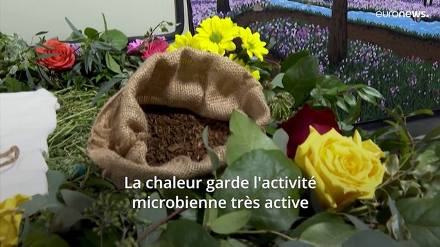 Des enterrements éco-responsables grâce au compost humain