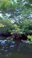 Un bateau sur le point de se faire rattraper par la marée montante sous un pont