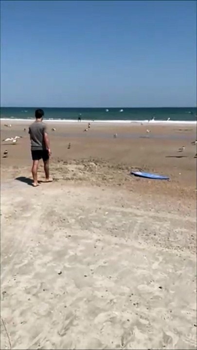 Il réussit à attraper une mouette d'une façon géniale