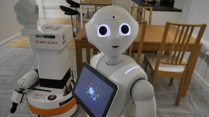 Norma mundial busca aminorar el posible impacto de la inteligencia artificial en el medio ambiente