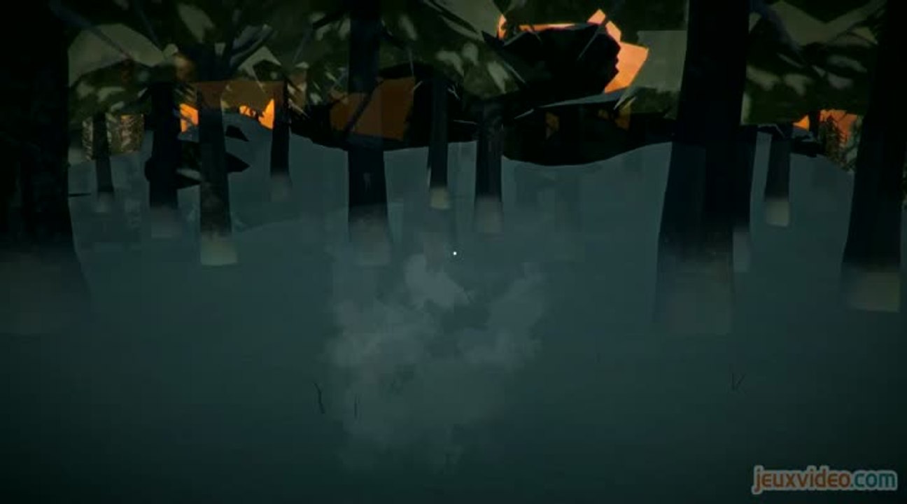 The Long Dark : The Long Dark : Survivre dans le froid