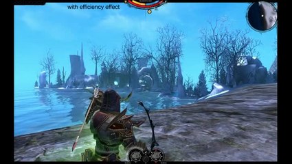 Darkfall Unholy Wars : Skirmisher Role /  Brawler School