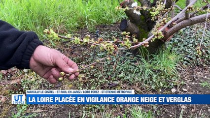 A la Une : Vigilance orange neige et verglas / Les aides à domicile créent leur syndicat / 6 communes de la Loire reçoivent des fleurs