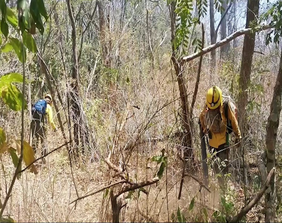 ext-incendios-en-guanacaste-310322