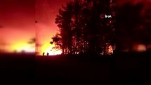 Son dakika haberleri | Şili'de orman yangını yerleşim yerlerine sıçradı