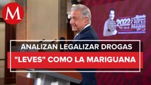 Gobierno analiza legalizar uso de drogas no destructivas: AMLO