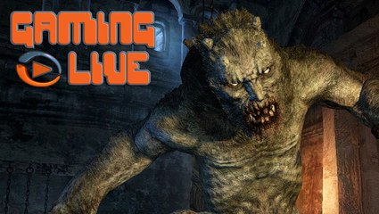 Dragon's Dogma : Dark Arisen : Dragon teu-bé