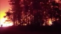 Şili’de orman yangını yerleşim yerlerine sıçradı