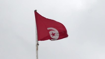 Cumhurbaşkanı Said'in Meclis'i feshetme kararı ülke kamuoyunu ikiye böldü