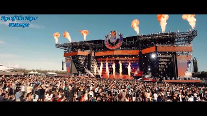 MrJamyes - Eye of the Tiger