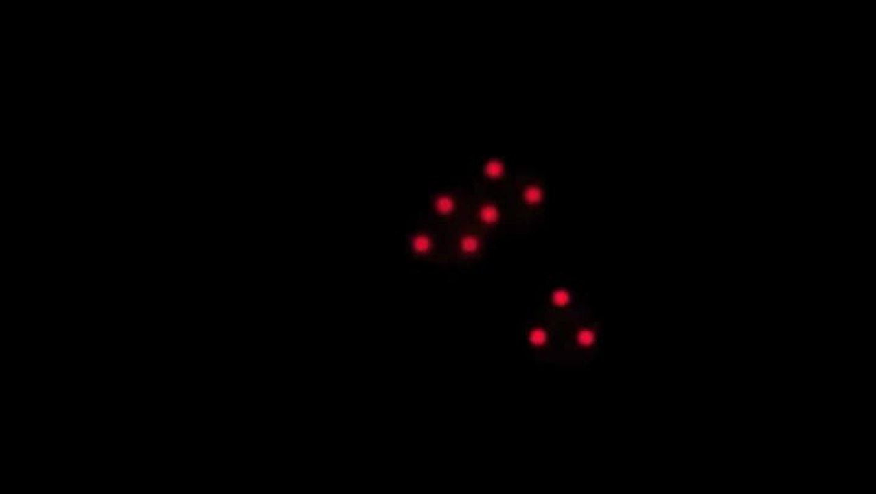 Predators : Vous allez enfin pouvoir fracasser de la gueule de porte-bonheur