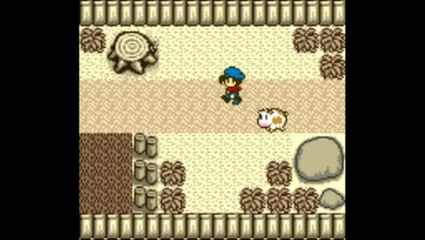 Harvest Moon : Plantons des choux