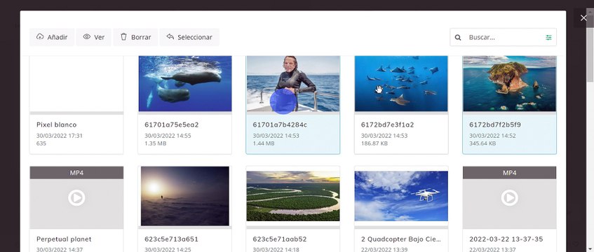 Cómo crear Web Stories de Google AMP con Amura CMS