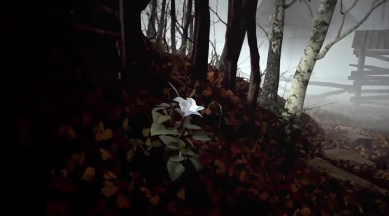 Datura : Premier trailer