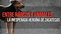 'Entre narcos y animales, la inesperada heroína de Zacatecas'