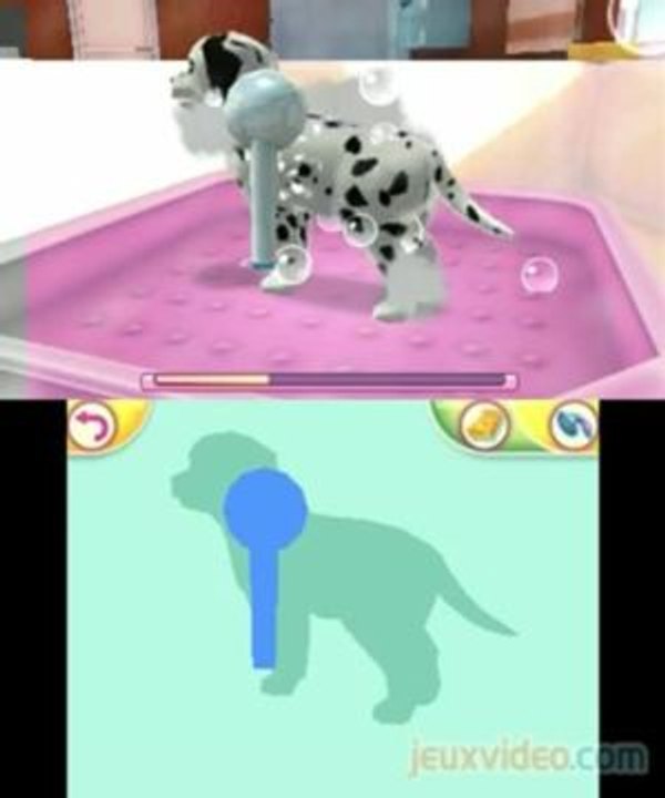 Chiens et Chats 3D : Mes Meilleurs Amis : Activités