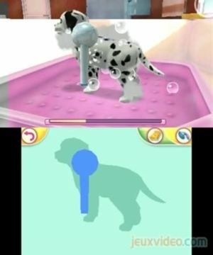 Chiens et Chats 3D : Mes Meilleurs Amis : Activités