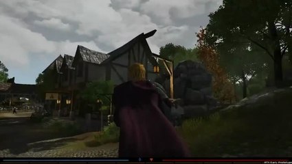 Shroud of the Avatar : Démo mensuelle