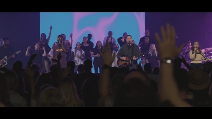 The Belonging Co - Supply