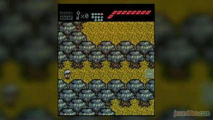 Anodyne : Un Zelda-like onirique