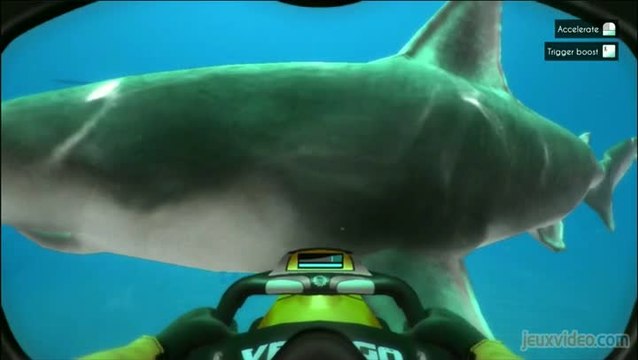 World of Diving : Plongée dans le monde du silence