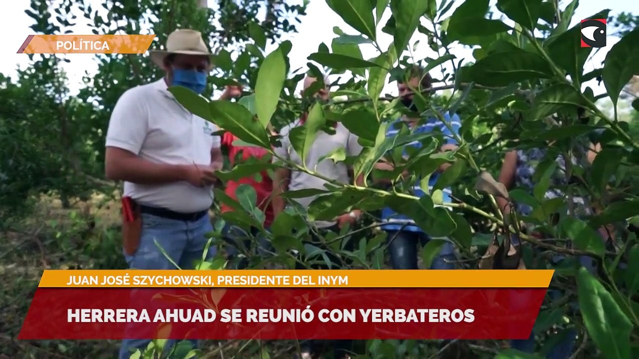 Herrera Ahuad se reunió con yerbateros