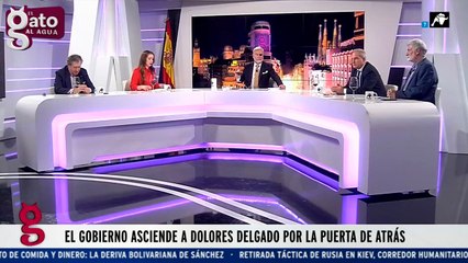 El Gato al Agua | 31/03/22 | Programa Completo