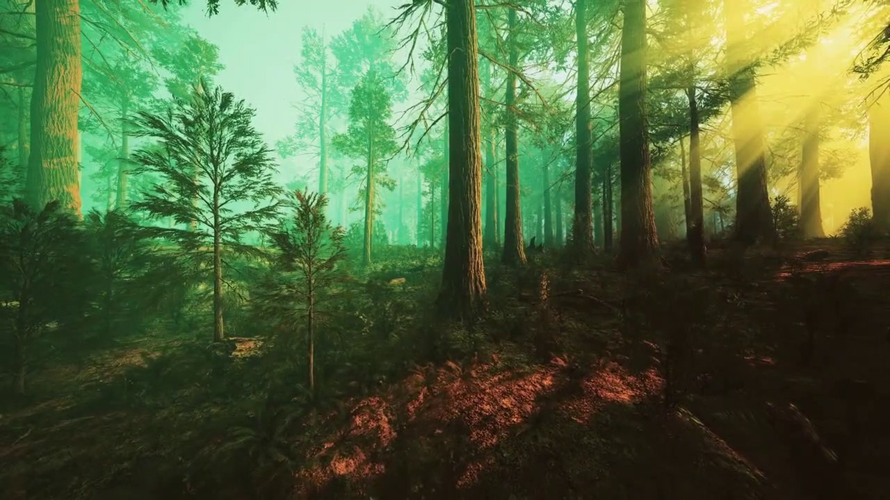 The Rising Dawn