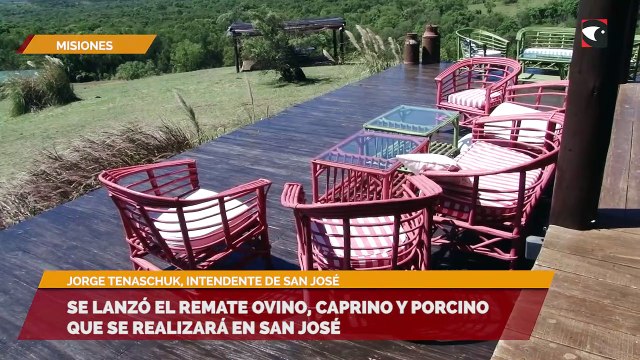 Se lanzó el remate ovino, caprino y porcino que se realizará en San José
