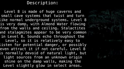 Level 8 "Cave System" [The Backrooms]