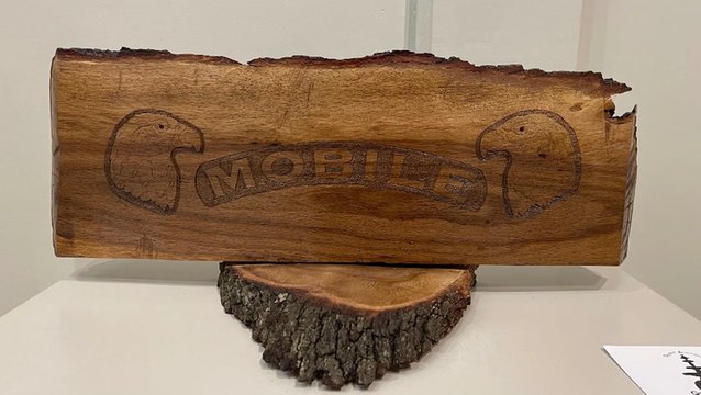 Historic trees damaged during hurricane used to create artwork