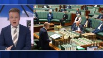 Anthony Albanese promises $2.5b to fix aged care system in budget reply
