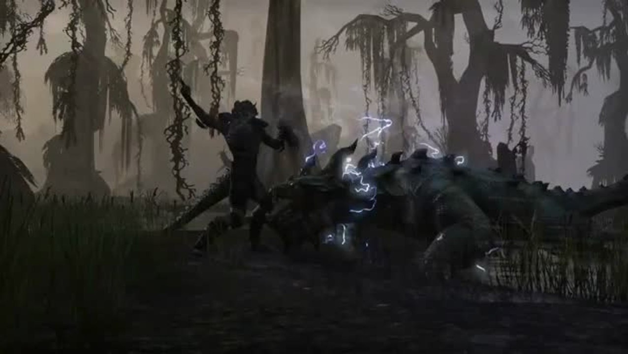 The Elder Scrolls Online : Wamasu